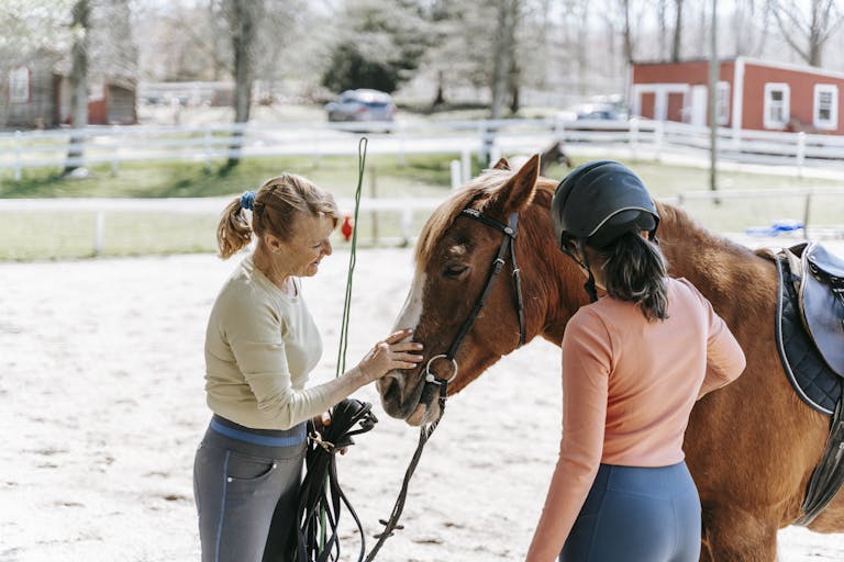 Two women care for a horse at an outdoor stable, enjoying a sunny day.